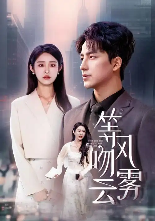 《逆袭之路》电视剧海报